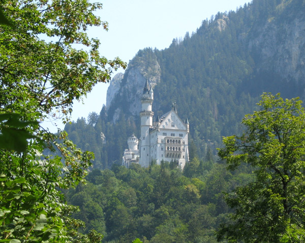 neuschwan6