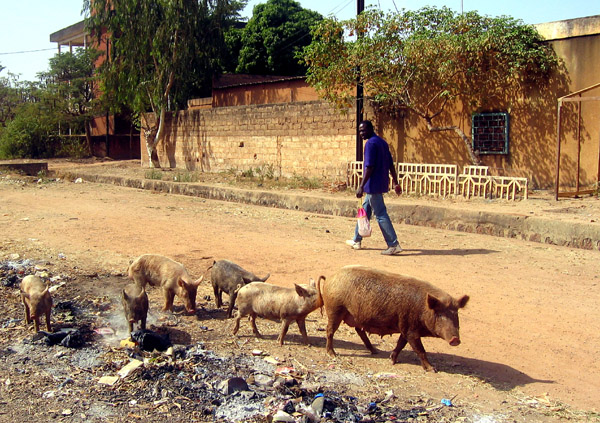 burkina ouagadougou 005