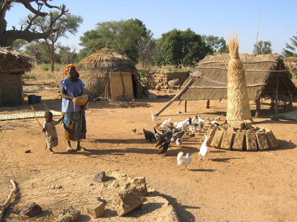 burkina sanoui 048