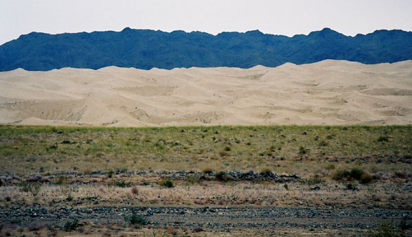 rgobi1