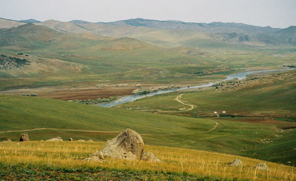 zvsteppe6