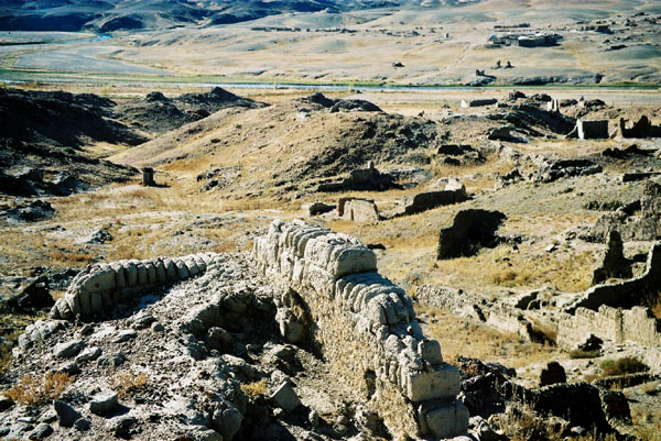 zyruinesteppe1