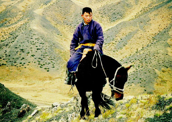 zzicavaliermongol