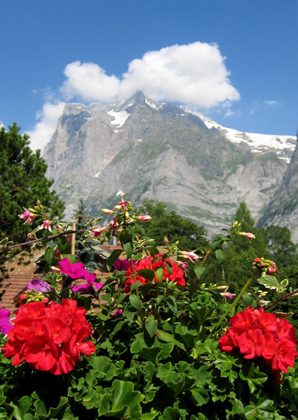 grindelwald