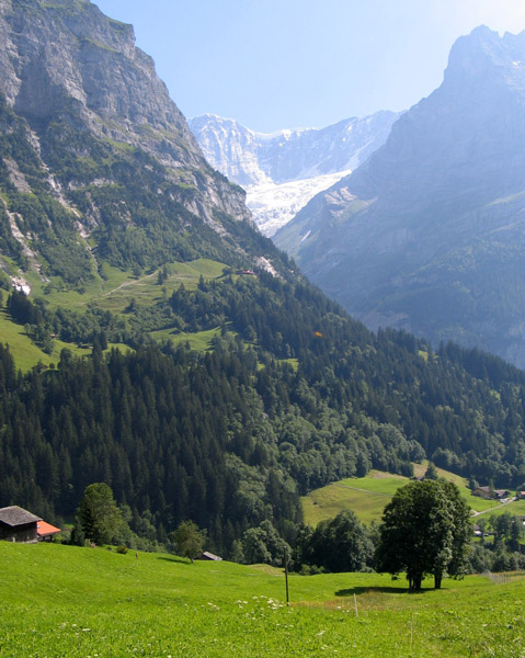 grindelwald5