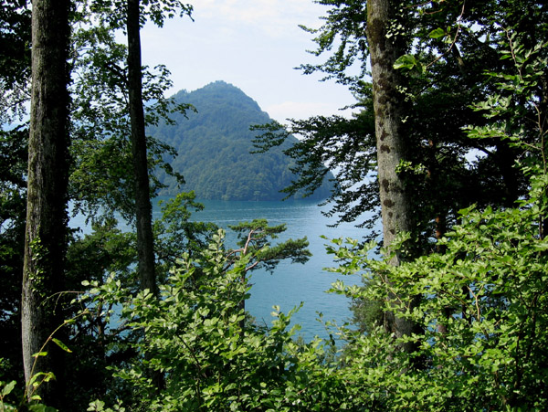 lac quatre cantons sisikon
