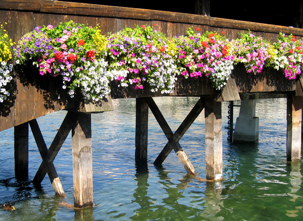 lucerne kapellbrucke10