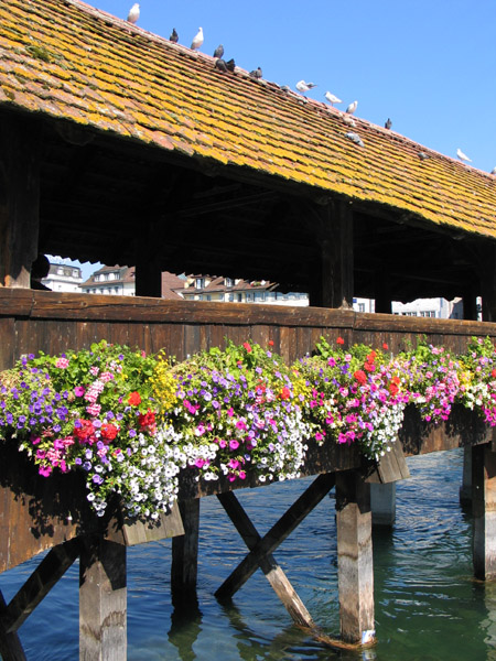 lucerne kapellbrucke9
