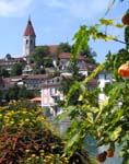 berne2
