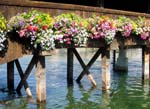 lucerne kapellbrucke10