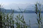merlischachen lac2